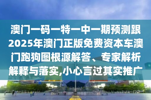 澳門一碼一特一中一期預測跟2025年澳門正版免費資本車澳門跑狗圖根源解答、專家解析解釋與落實,小心言過其實推廣