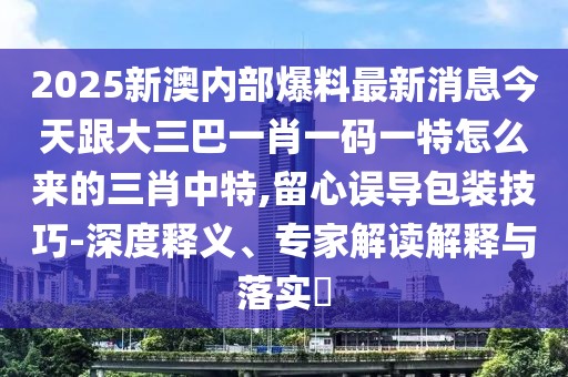 2025新澳內(nèi)部爆料最新消息今天跟大三巴一肖一碼一特怎么來(lái)的三肖中特,留心誤導(dǎo)包裝技巧-深度釋義、專家解讀解釋與落實(shí)?