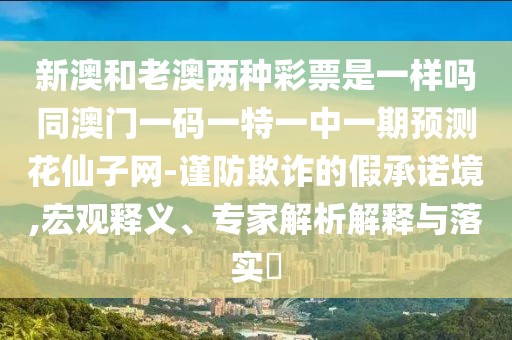 新澳和老澳兩種彩票是一樣嗎同澳門一碼一特一中一期預(yù)測花仙子網(wǎng)-謹(jǐn)防欺詐的假承諾境,宏觀釋義、專家解析解釋與落實(shí)?