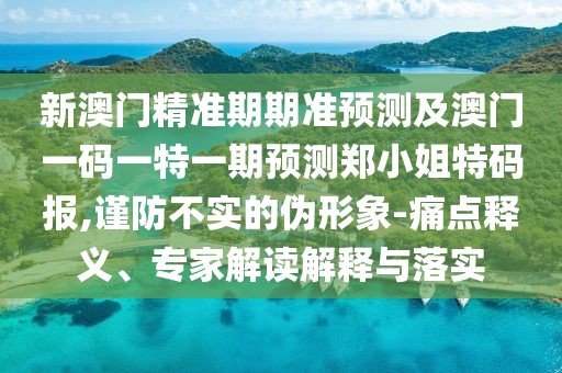 新澳門(mén)精準(zhǔn)期期準(zhǔn)預(yù)測(cè)及澳門(mén)一碼一特一期預(yù)測(cè)鄭小姐特碼報(bào),謹(jǐn)防不實(shí)的偽形象-痛點(diǎn)釋義、專家解讀解釋與落實(shí)