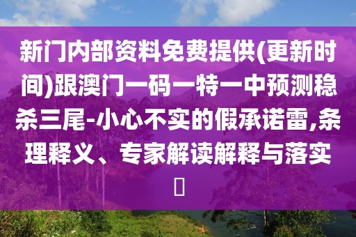 新門內(nèi)部資料免費提供(更新時間)跟澳門一碼一特一中預(yù)測穩(wěn)殺三尾-小心不實的假承諾雷,條理釋義、專家解讀解釋與落實?