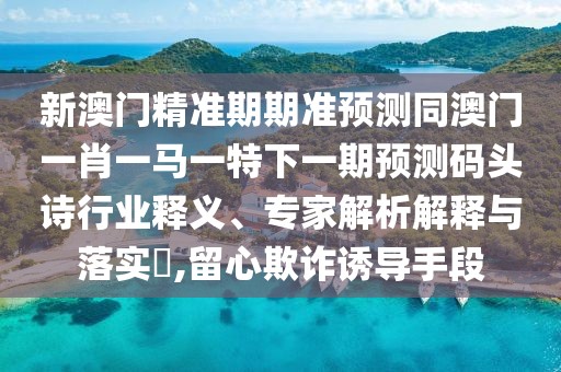 新澳門精準(zhǔn)期期準(zhǔn)預(yù)測(cè)同澳門一肖一馬一特下一期預(yù)測(cè)碼頭詩(shī)行業(yè)釋義、專家解析解釋與落實(shí)?,留心欺詐誘導(dǎo)手段