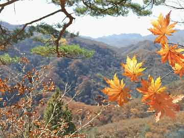 榮成疫情最新消息軌跡圖，揭示疫情動(dòng)態(tài)與應(yīng)對(duì)策略，榮成疫情最新軌跡圖揭示，動(dòng)態(tài)發(fā)展與應(yīng)對(duì)策略